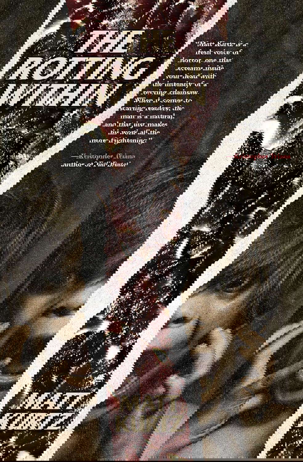 The Rotting Within poster