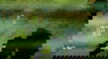 episode poster
