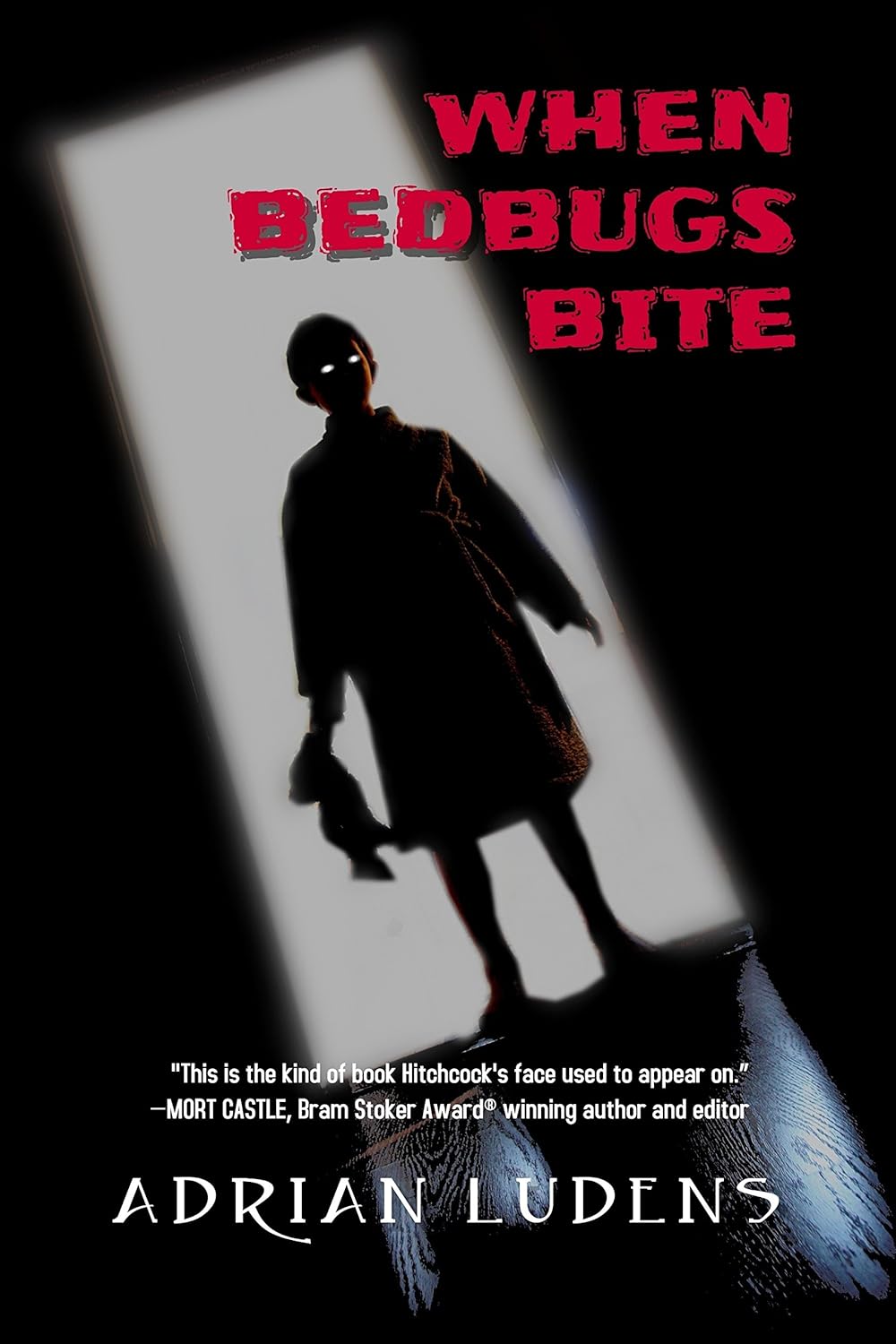When Bedbugs Bite: Stories for Late at Night poster