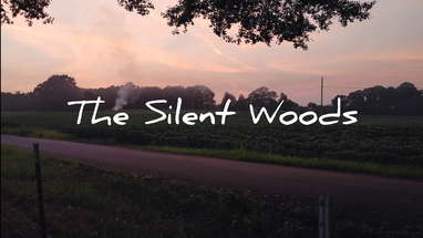 The Silent Woods - A Horror Short Film poster