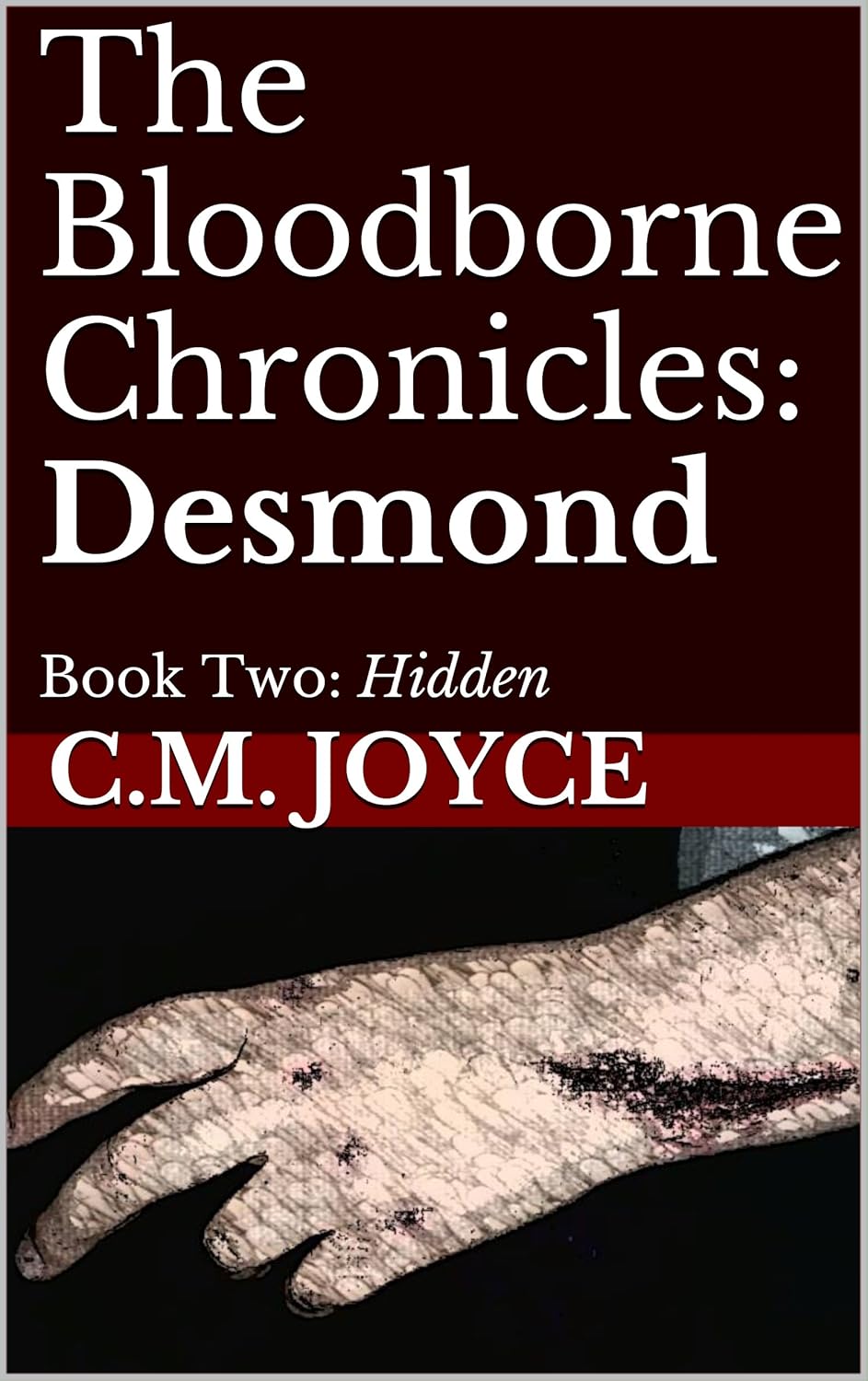 The Bloodborne Chronicles: Desmond: Book Two: Hidden poster