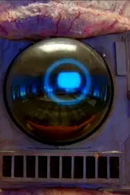 Bob poster