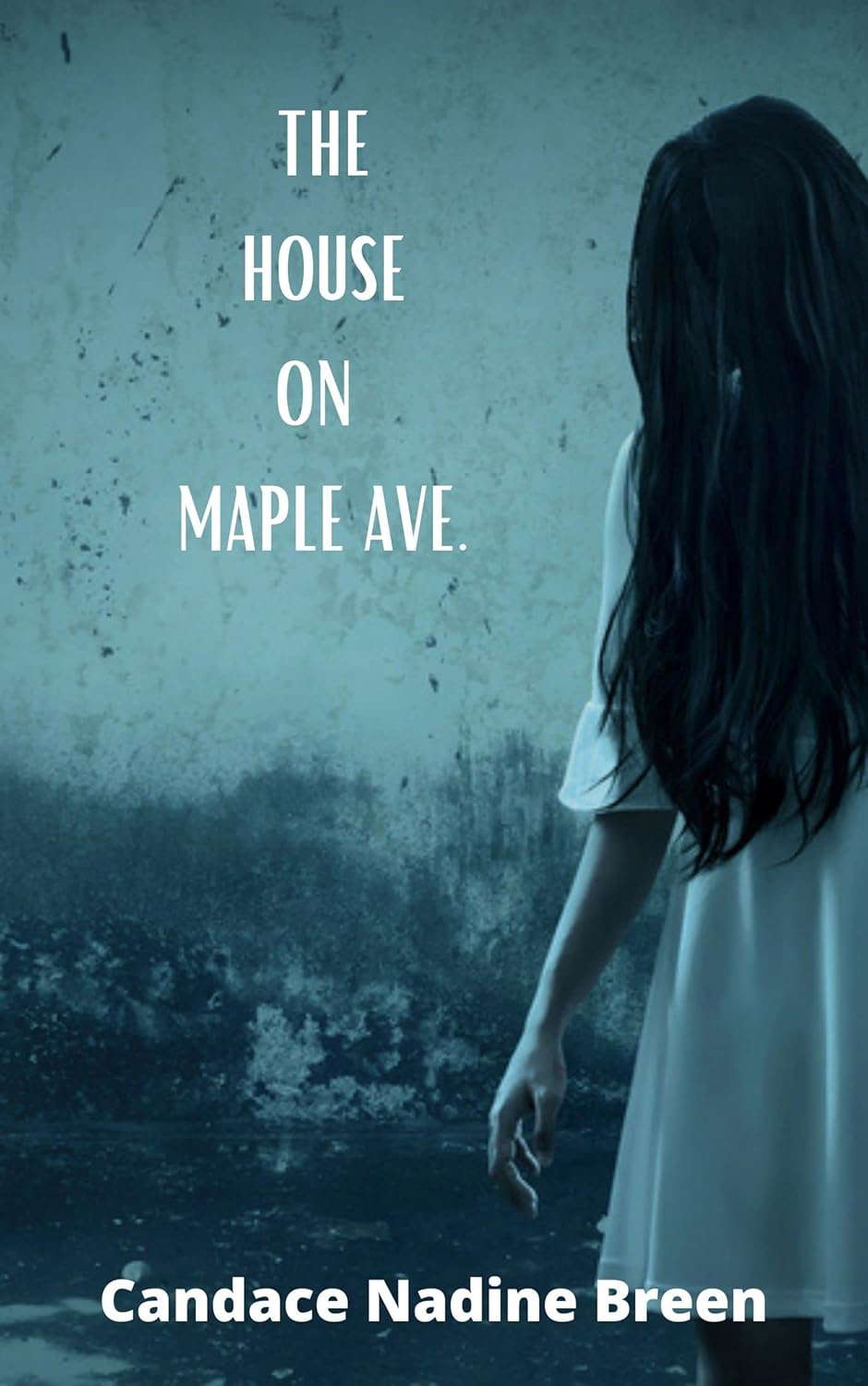 The House on Maple Ave. poster