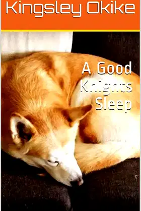 A Good Knights Sleep poster