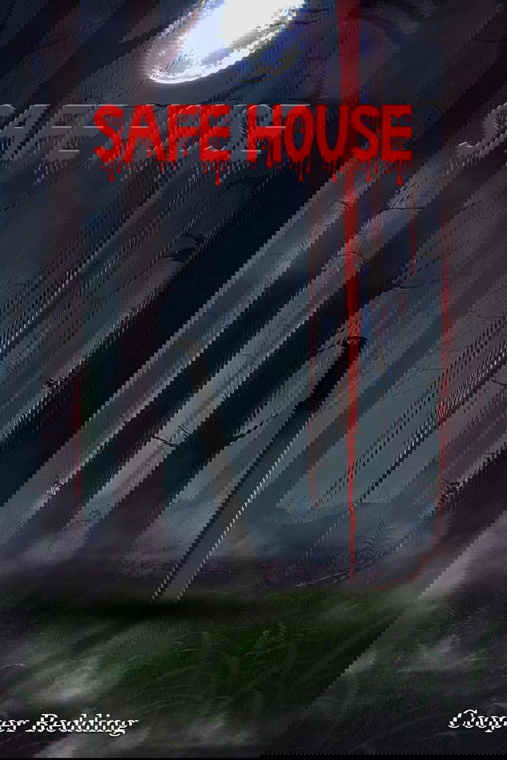 Safe House: A Gripping Post-Apocalyptic Survival Thriller poster