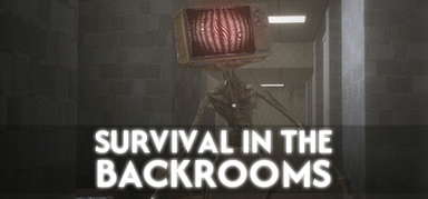 SURVIVAL IN THE BACKROOMS capsule
