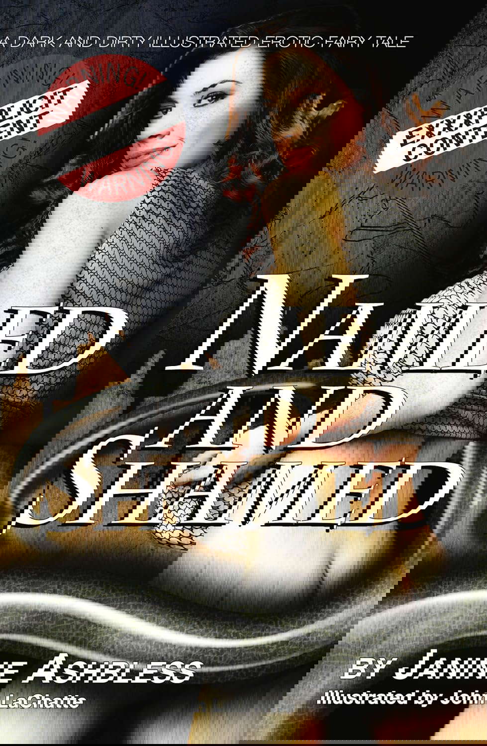 Named and Shamed: A dark and dirty illustrated erotic fairy tale poster