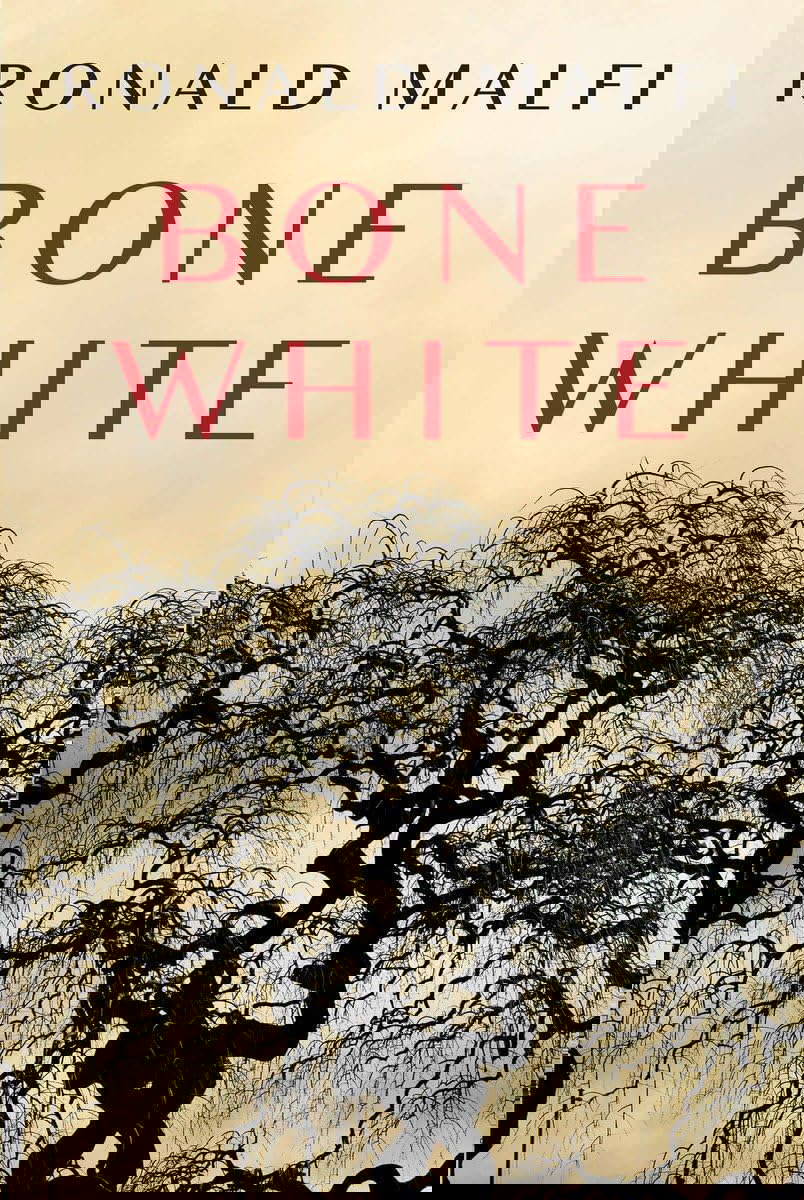Bone White poster