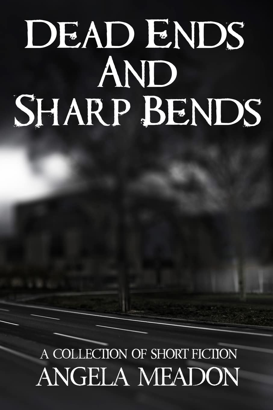 Dead Ends and Sharp Bends: A Collection of Short Fiction poster