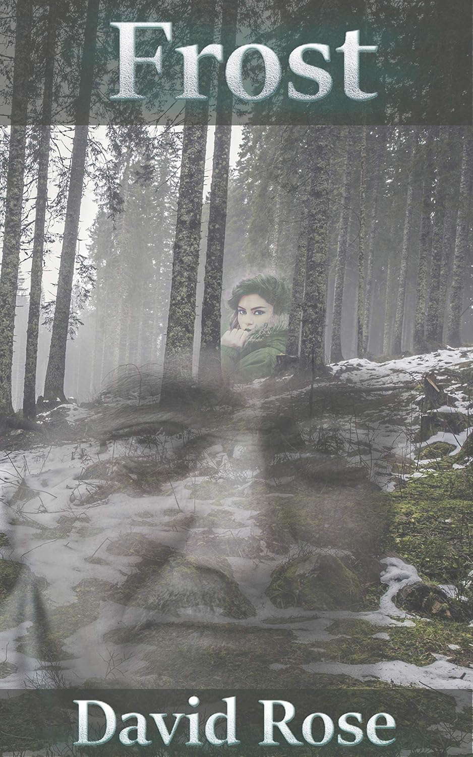 Frost poster