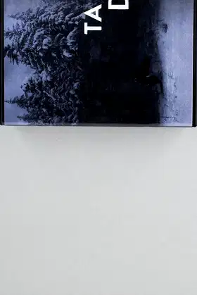 Tanners Dell (Darkly Disturbing Occult Horror Trilogy) poster