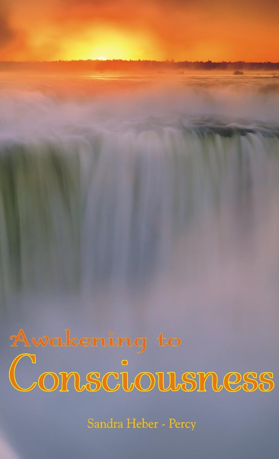 Awakening to Consciousness poster