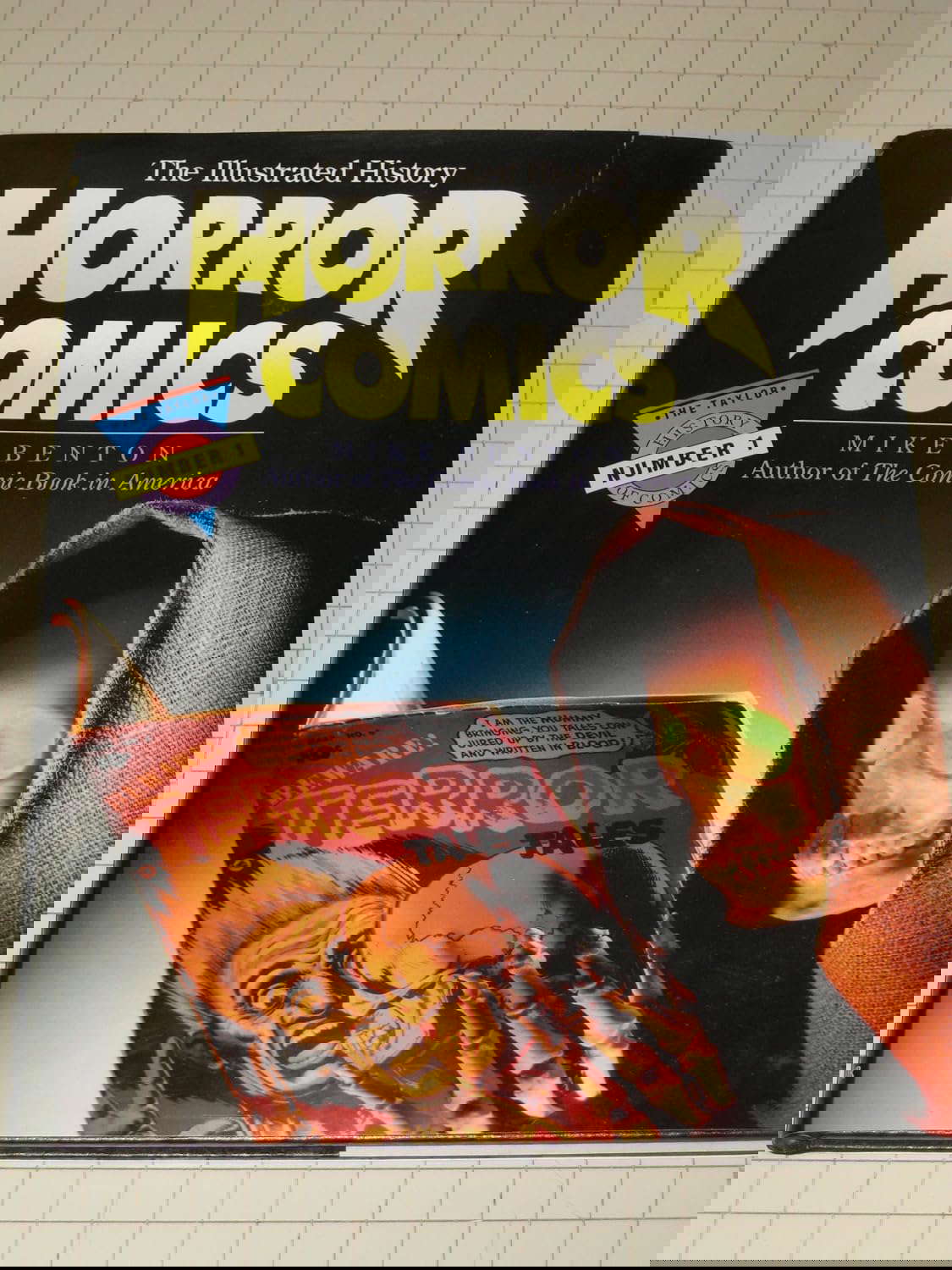 Horror Comics: The Illustrated History (TAYLOR HISTORY OF COMICS) poster