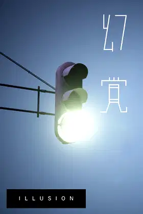 Illusion 幻覚 poster