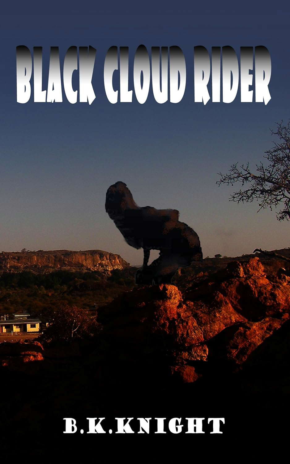 Black Cloud Rider (A Nest of Voodoo Dolls Book 2) poster
