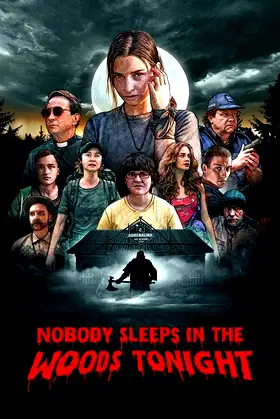 Nobody Sleeps in the Woods Tonight poster