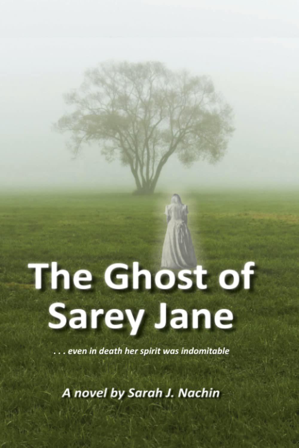 The Ghost of Sarey Jane poster