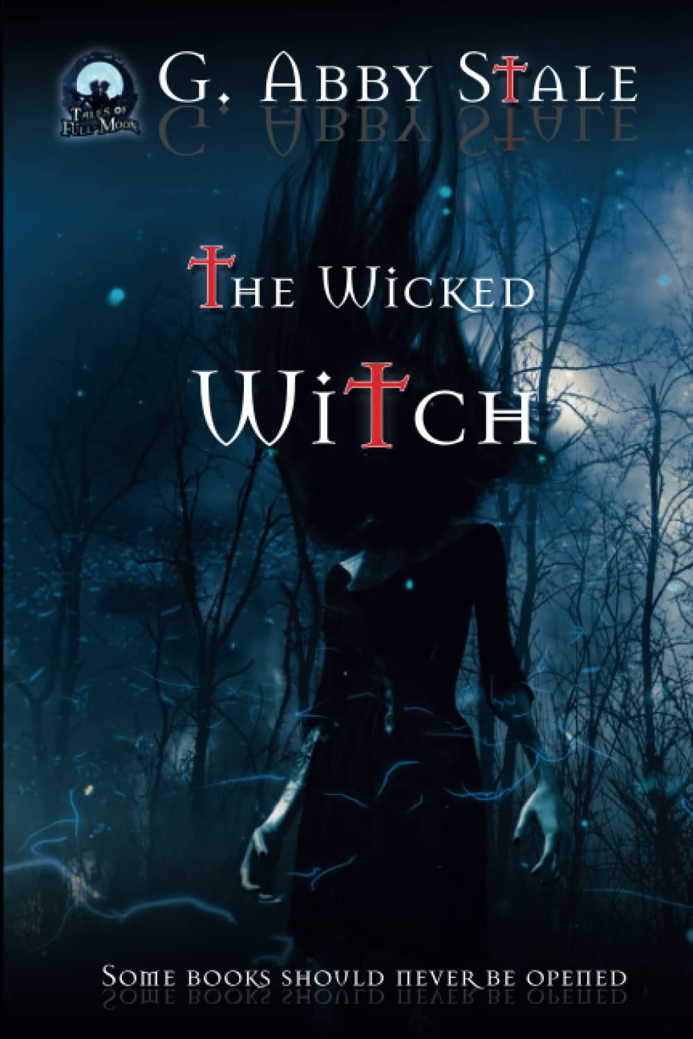 The Wicked Witch (Tales of Full-Moon) poster