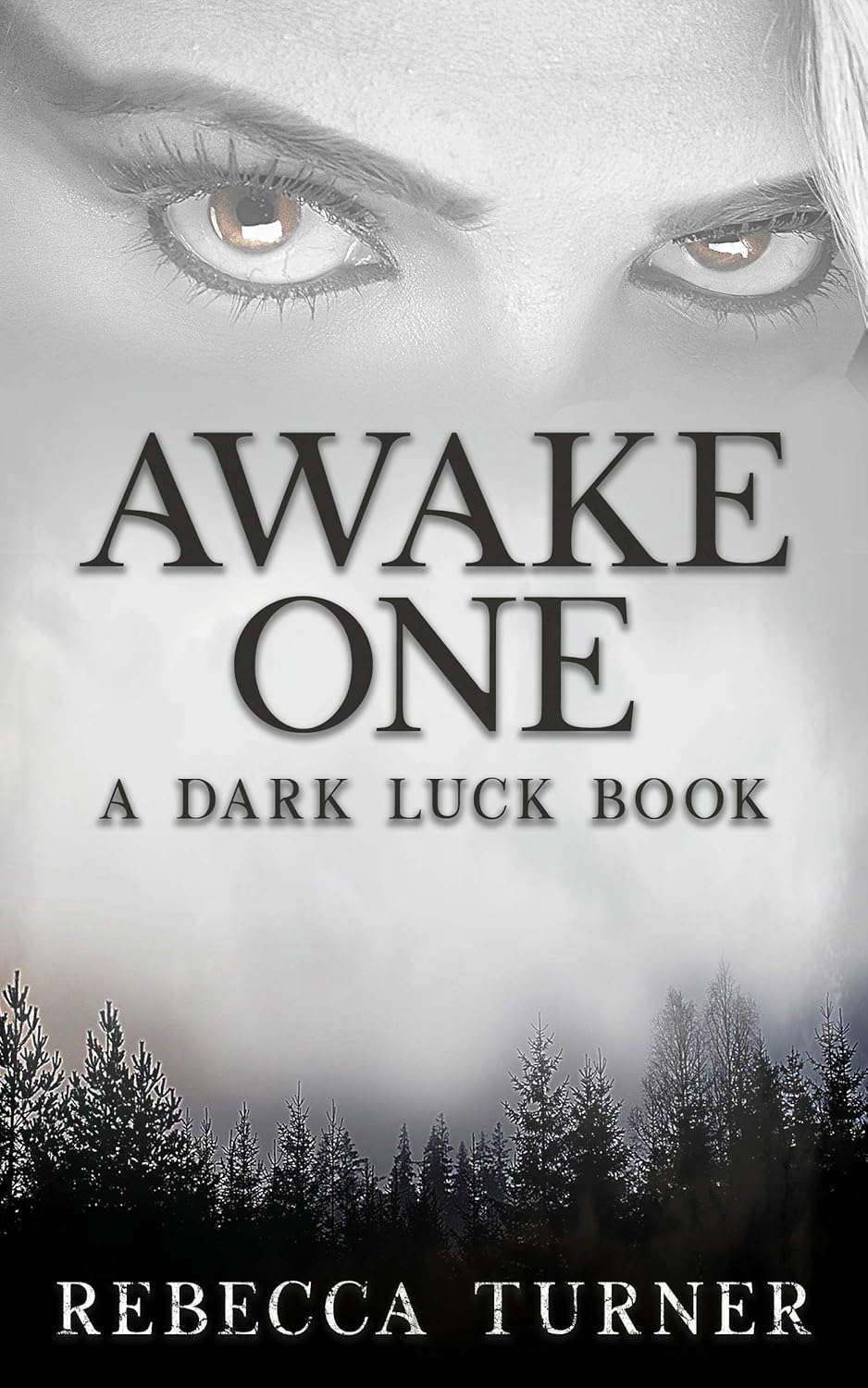 Awake One: A Dark Luck Book poster
