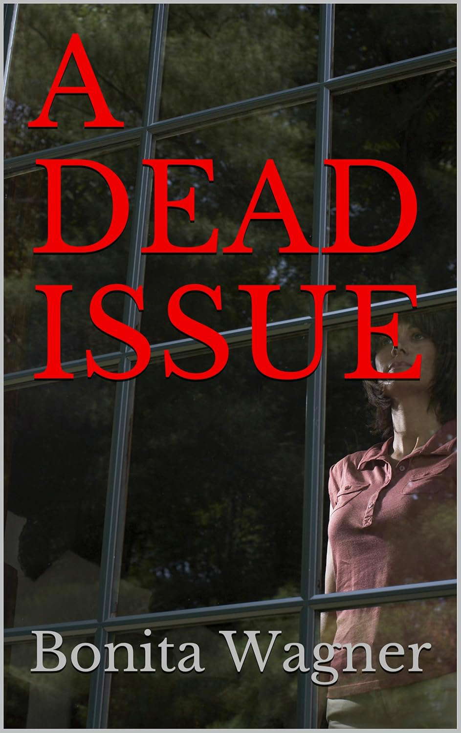 A DEAD ISSUE (Kaye and Nick Mysteries Book 1) poster