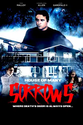 House of Many Sorrows poster