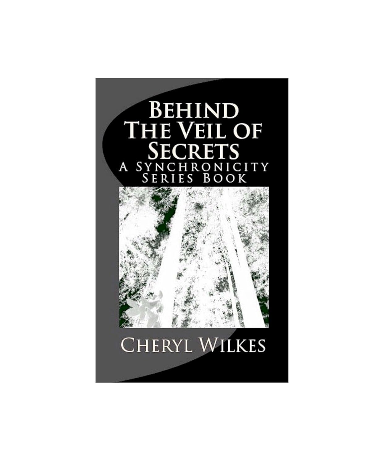 Behind The Veil of Secrets (The Synchronicity Series Book 1) poster