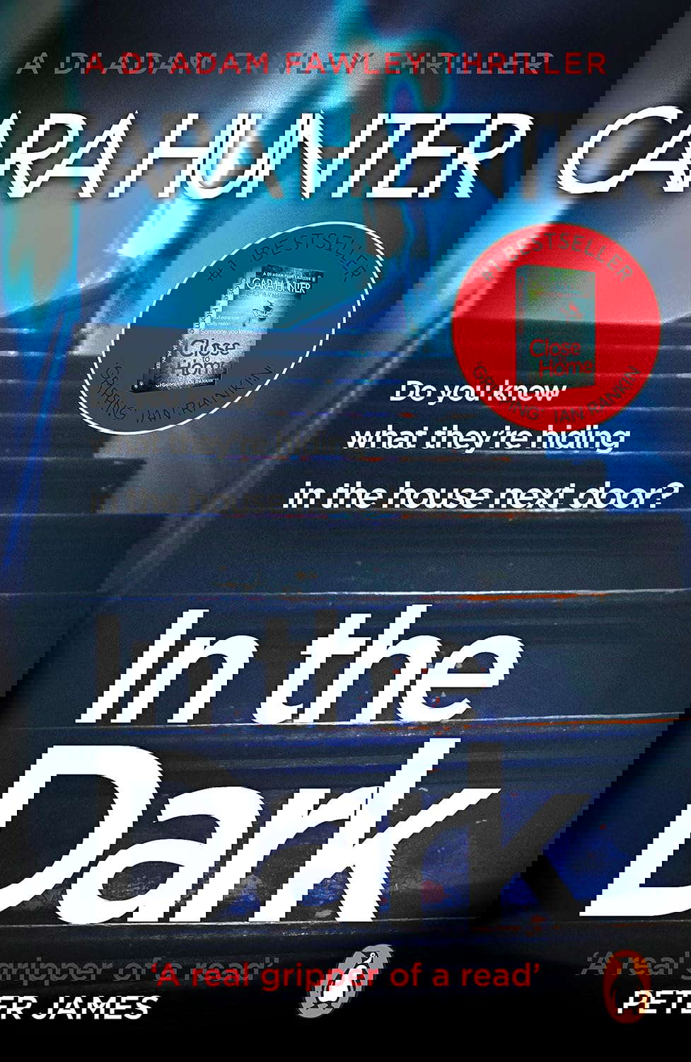 In The Dark (DI Fawley) poster