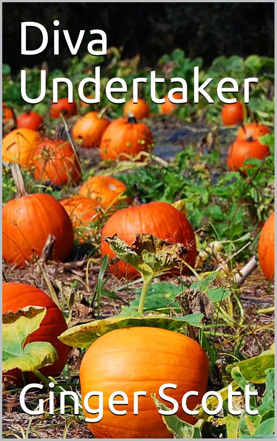 Diva Undertaker poster