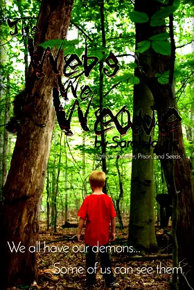 The Webs We Weave poster