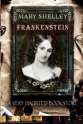A Haunted Library - Journal poster