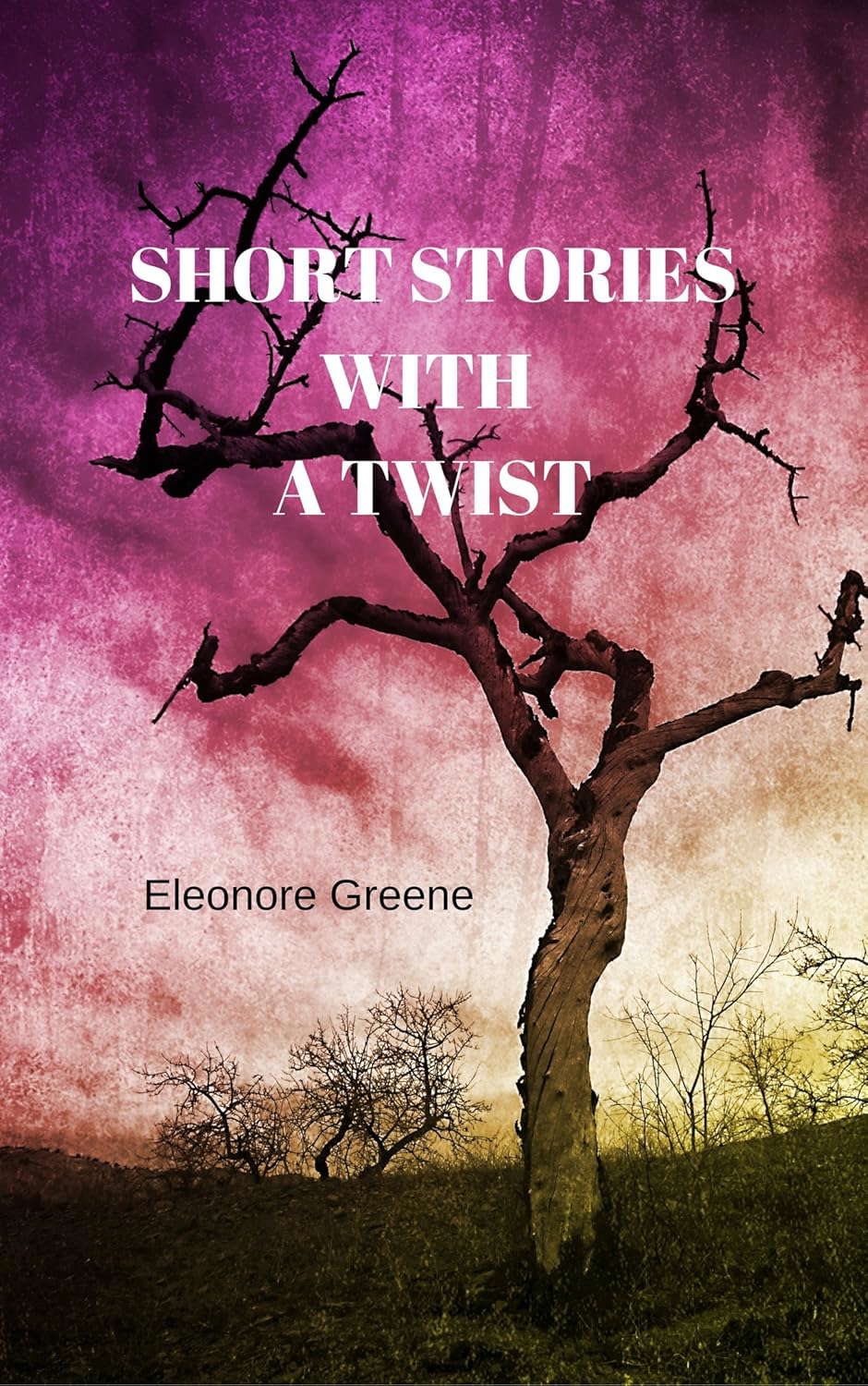 SHORT STORIES WITH A TWIST poster