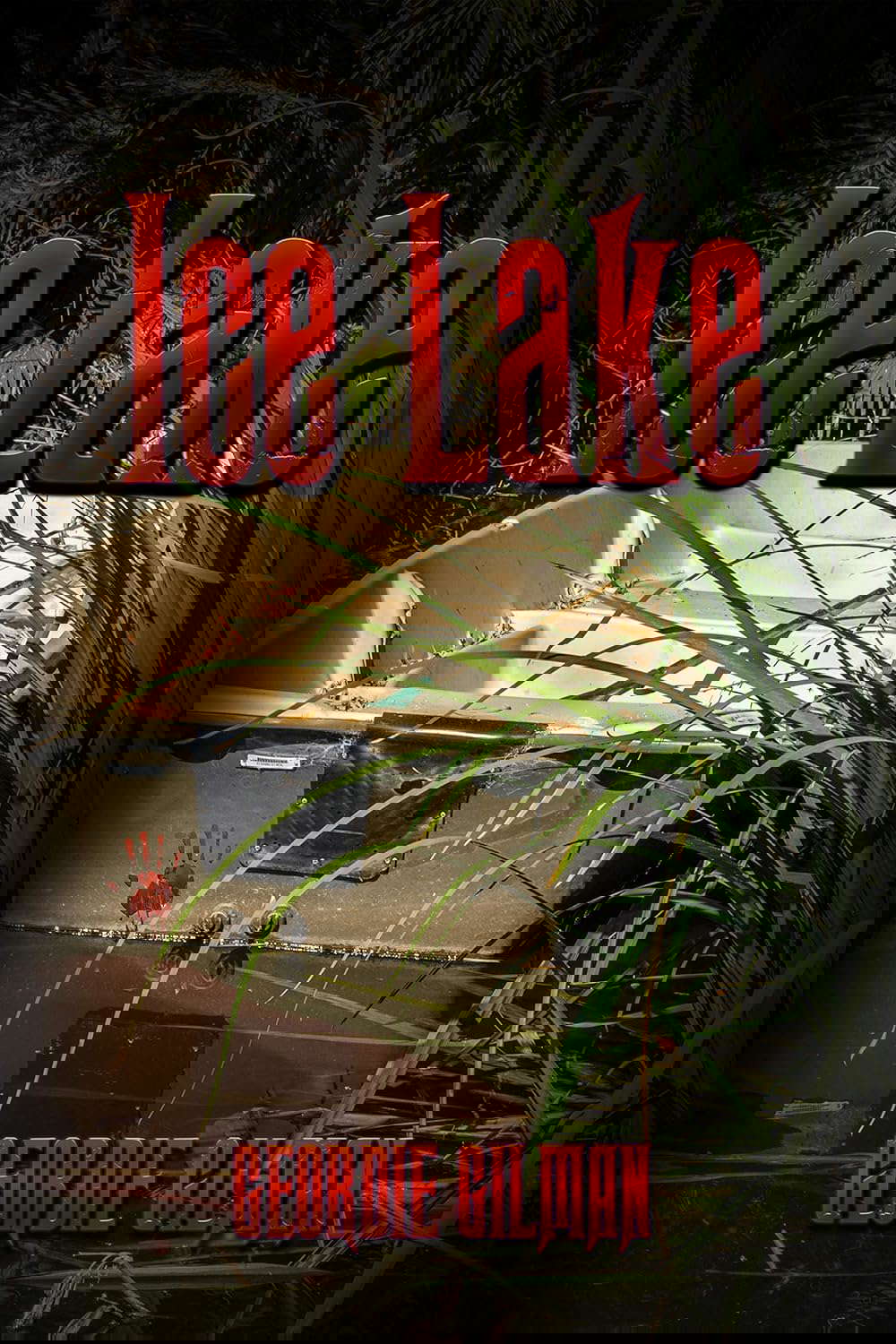 Ice Lake poster