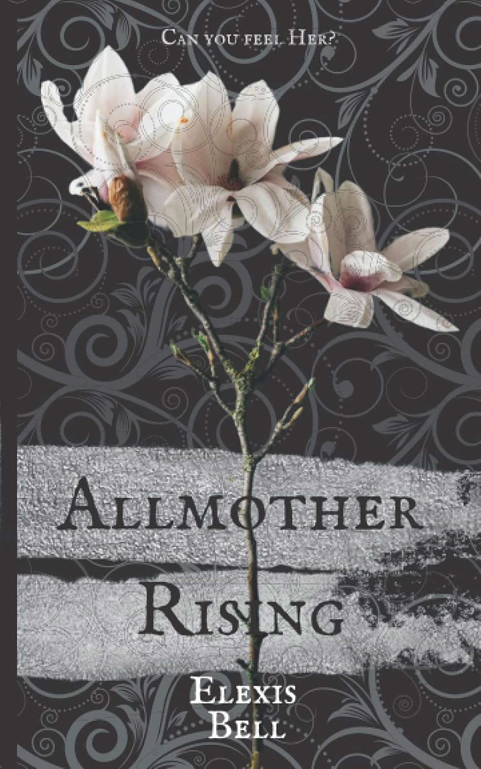 Allmother Rising (Standalone Literary Fantasy Romance Novels) poster