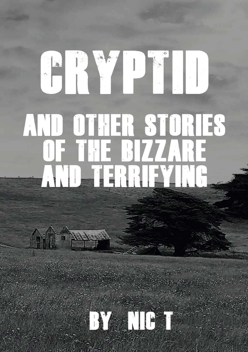 Cryptid: & Other Stories Of The Bizzare & Terrifying poster
