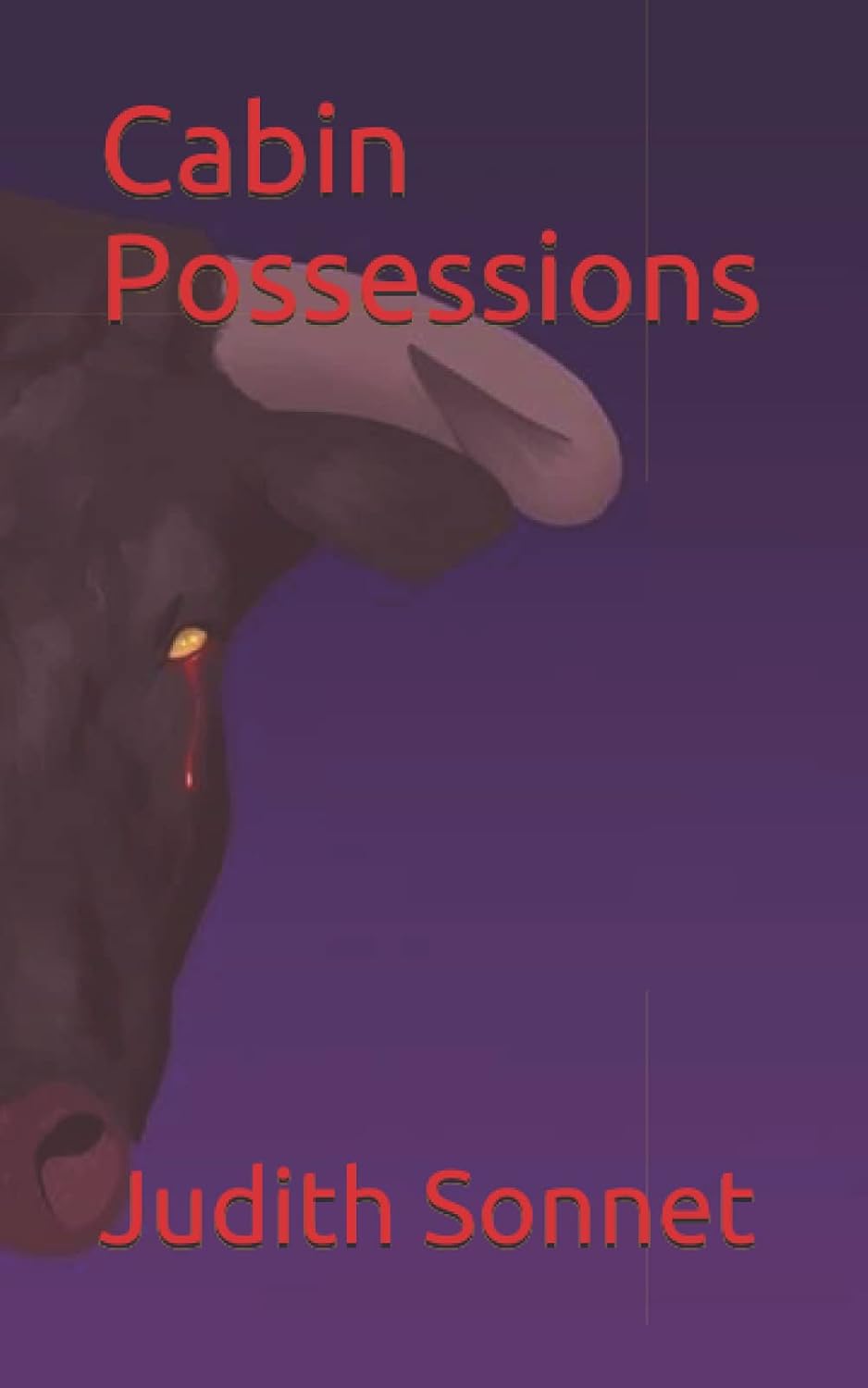 Cabin Possessions poster