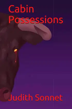 Cabin Possessions poster