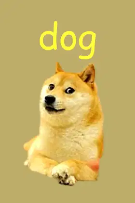 Dog poster