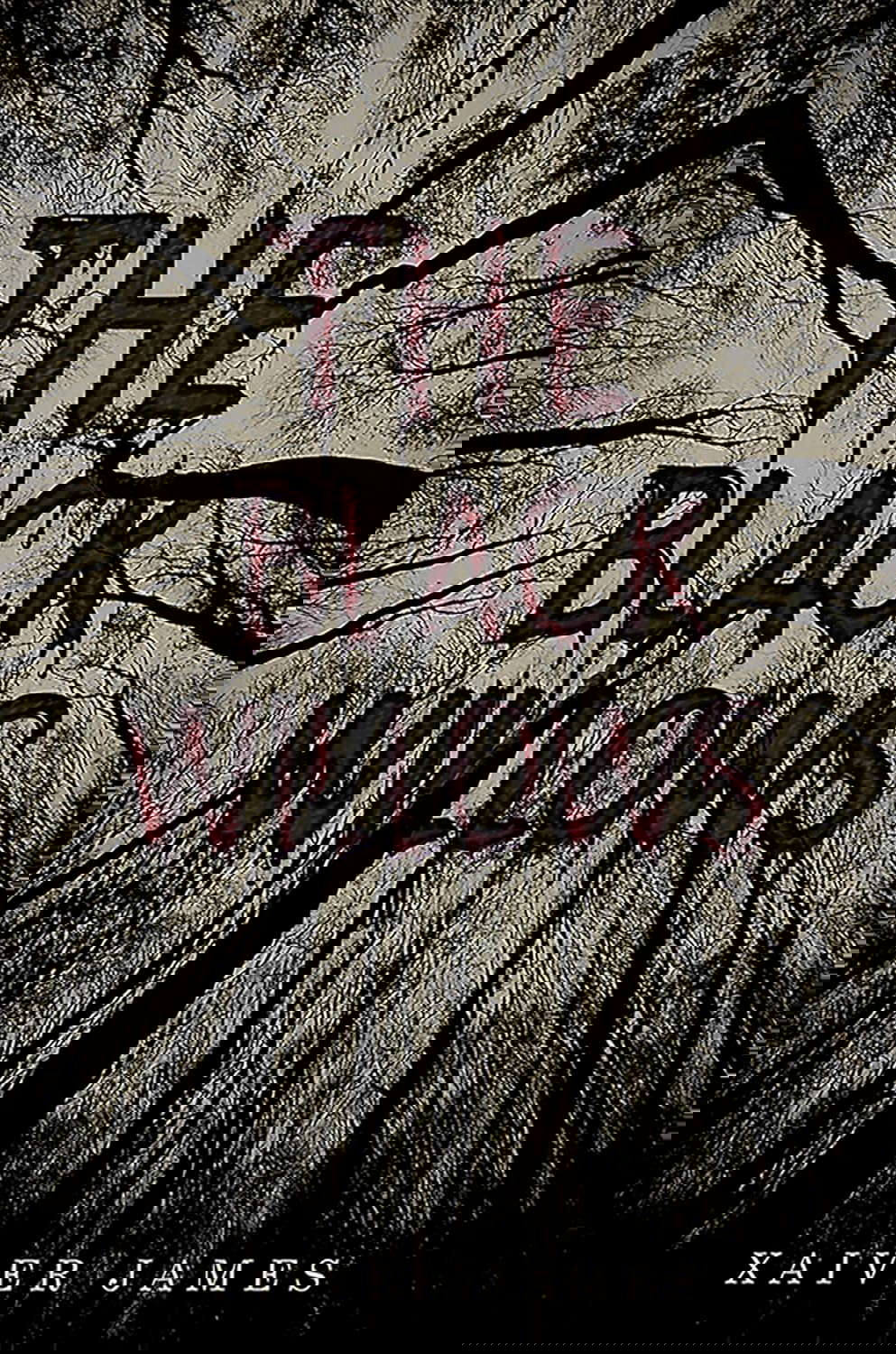 The Black Willows poster