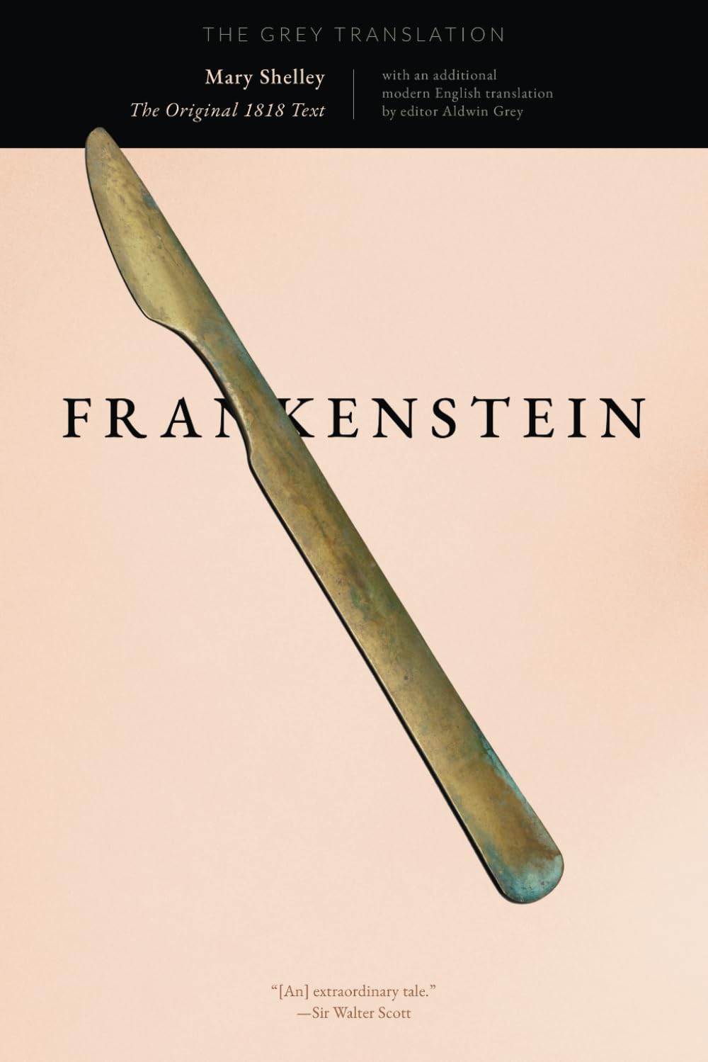 Frankenstein: The Grey Translation poster