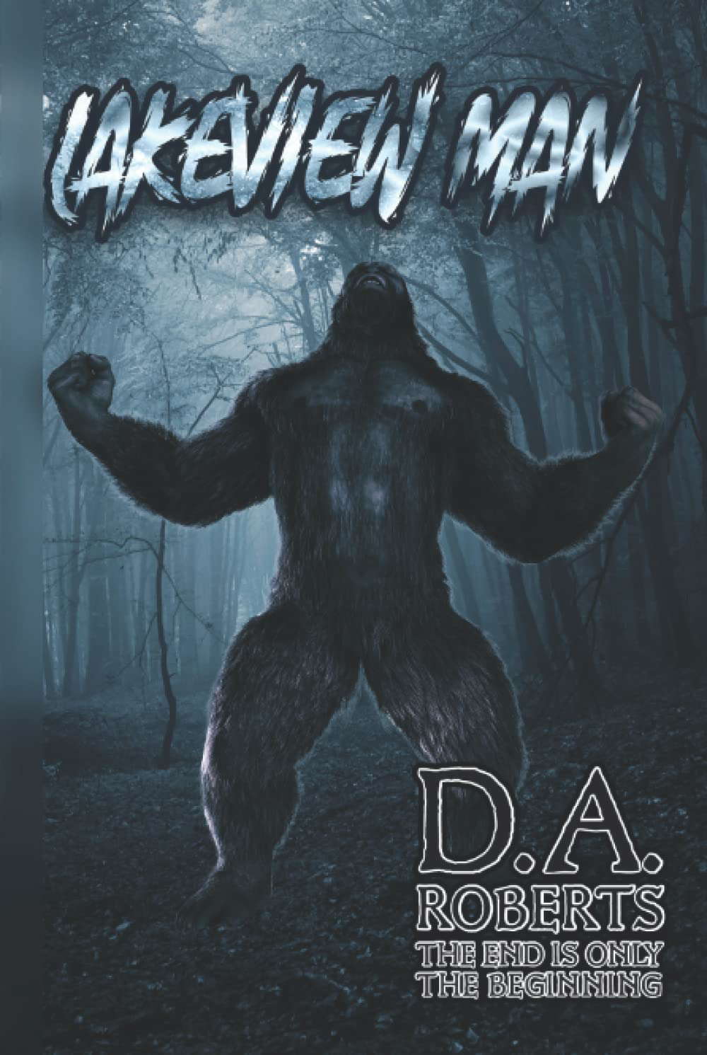 The Lakeview Man poster