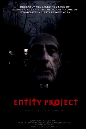Entity Project poster