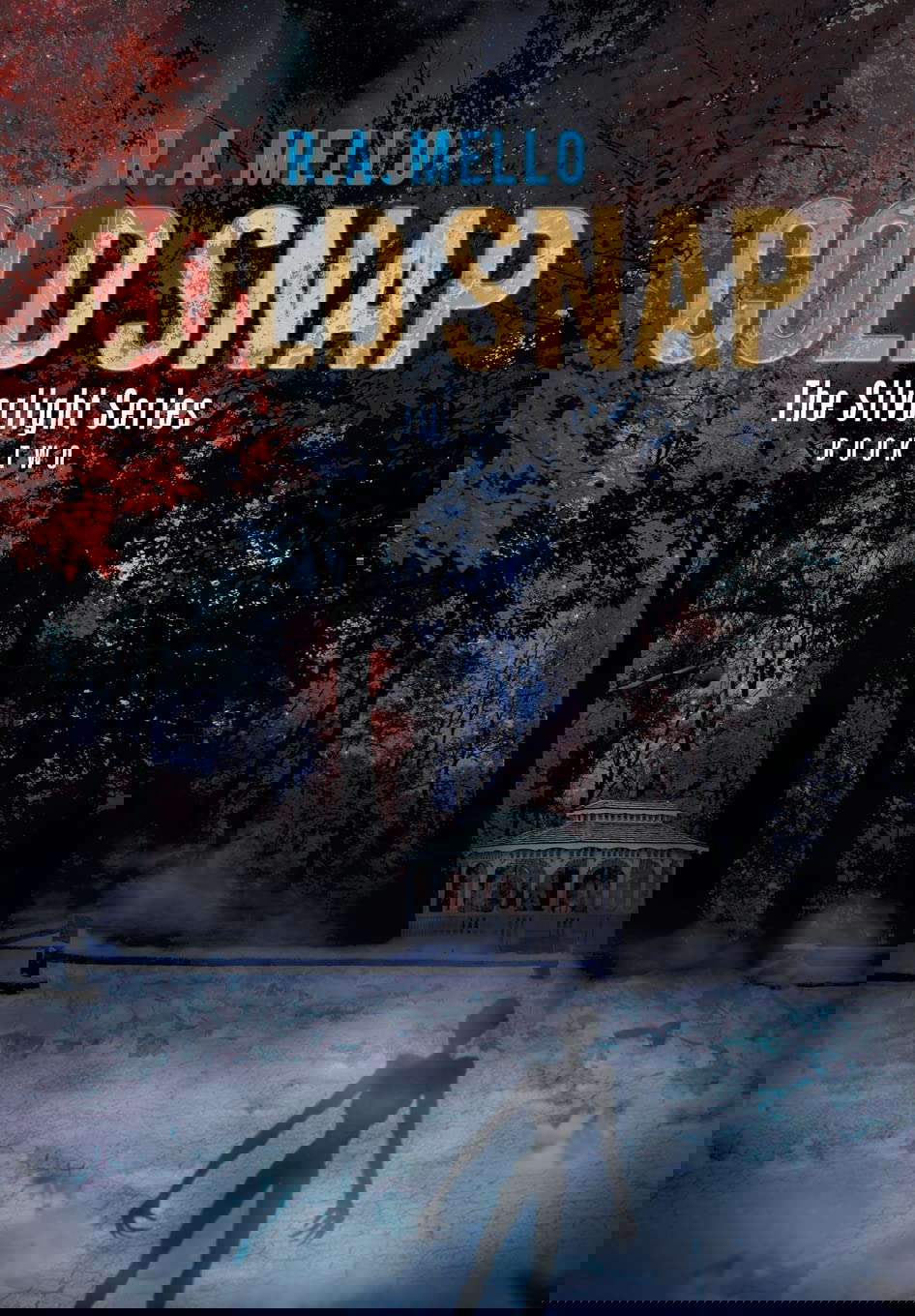 Cold Snap: The Silverlight Series Book Two (The Silverlight, 2) poster