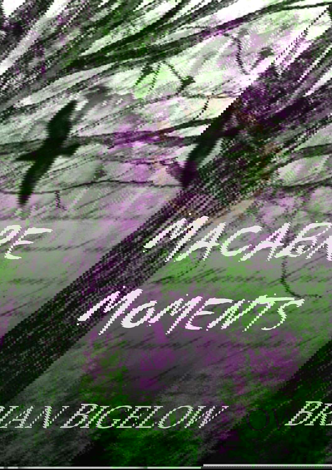 Macabre Moments poster