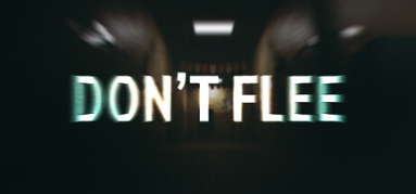 Don't Flee capsule