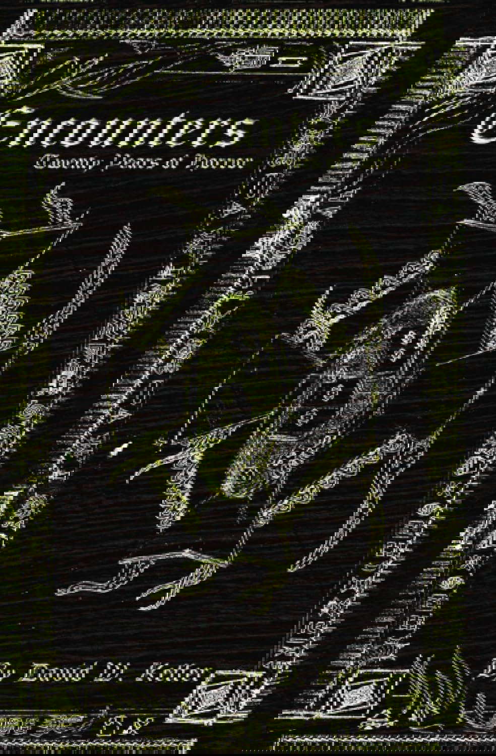 Encounters: Twenty Years of Horror poster