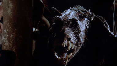 The Cellar (1989) [Vinegar Syndrome Blu-ray Promo Trailer] poster