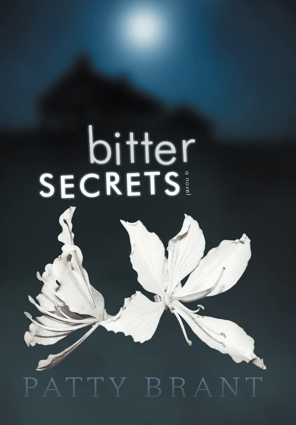 Bitter Secrets poster
