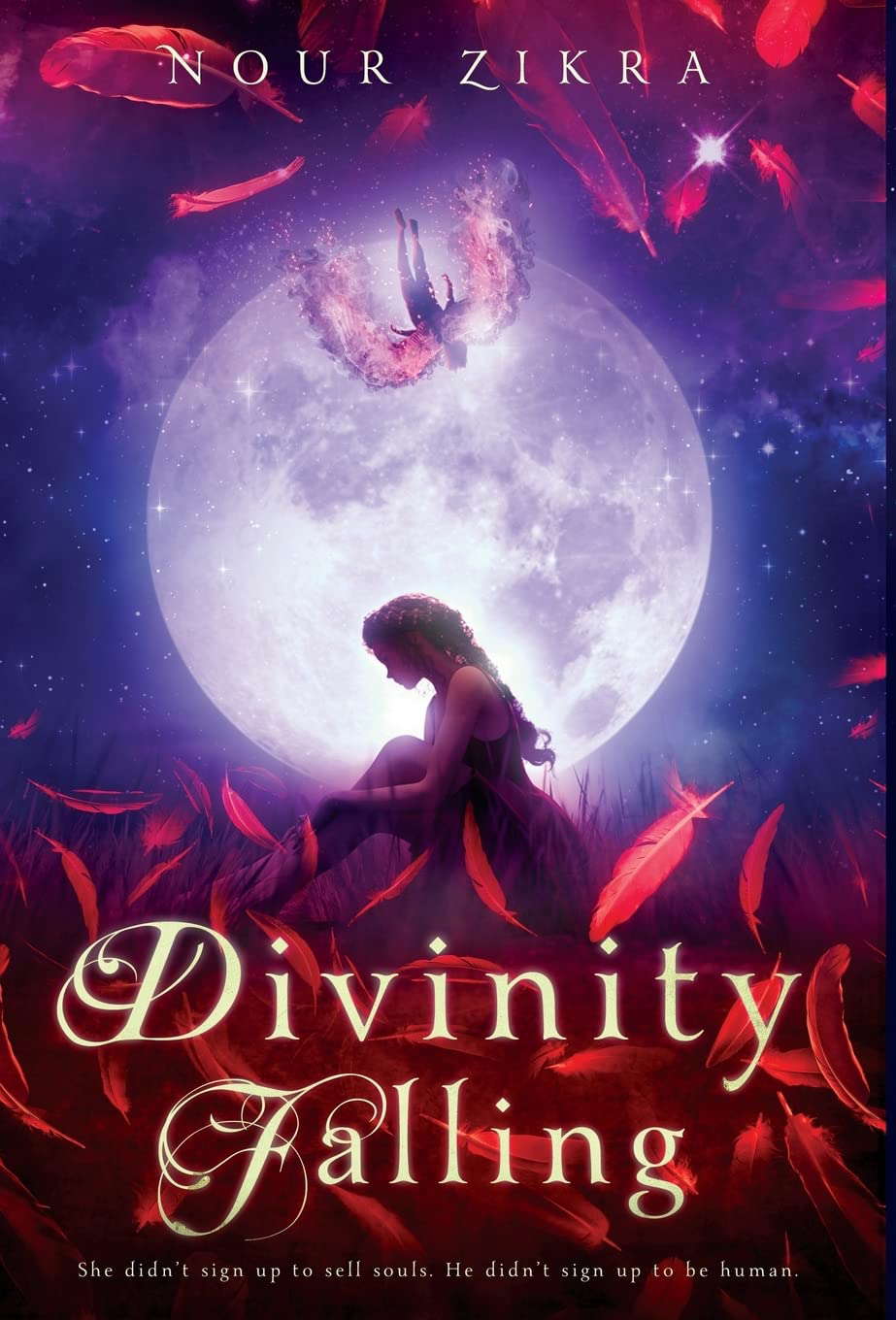Divinity Falling poster