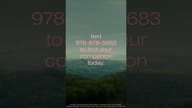 Dating is hard. Find Your Companion is easy. Text (978) 878-5683 to Find Your Companion today.* poster
