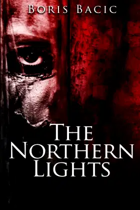 The Northern Lights poster